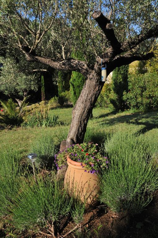 Bastide De L'avelan * Grimaud